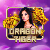 Dragon Tiger Arcade game