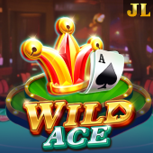 Wild Ace Arcade game